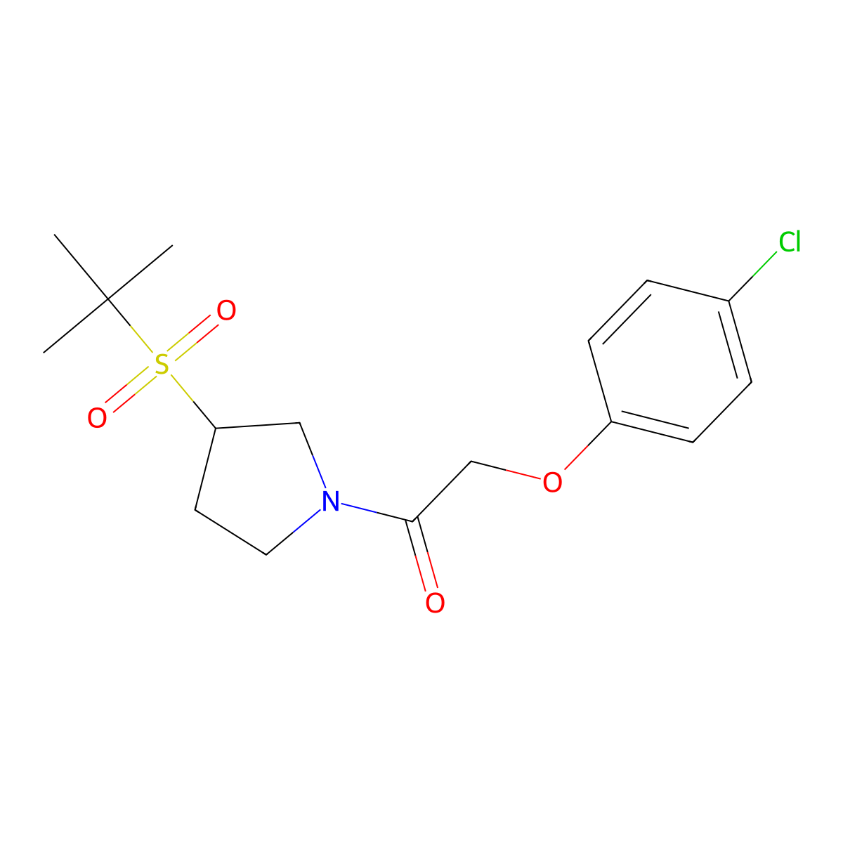 1-(3-(Tert-butylsulfonyl)pyrrolidin-1-yl)-2-(4-chlorophenoxy)ethanone molecular structure, CAS 1797278-59-1