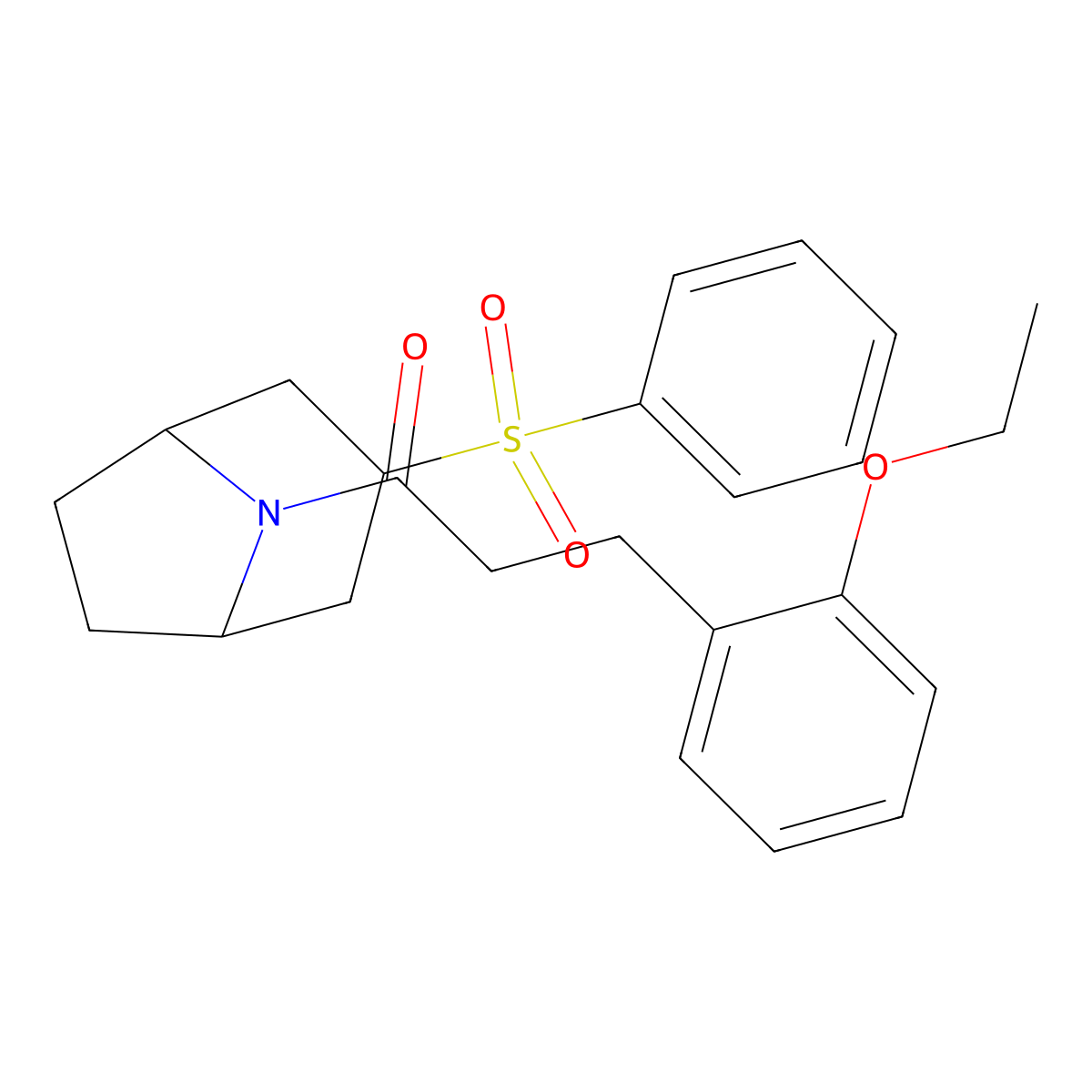 1-[3-(Benzenesulfonyl)-8-azabicyclo[3.2.1]octan-8-yl]-3-(2-ethoxyphenyl)propan-1-one molecular structure, CAS 1797341-76-4