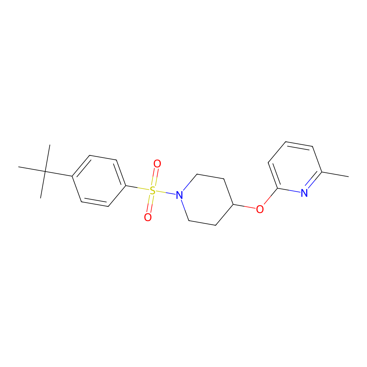 2-((1-((4-(Tert-butyl)phenyl)sulfonyl)piperidin-4-yl)oxy)-6-methylpyridine molecular structure, CAS 1797601-71-8