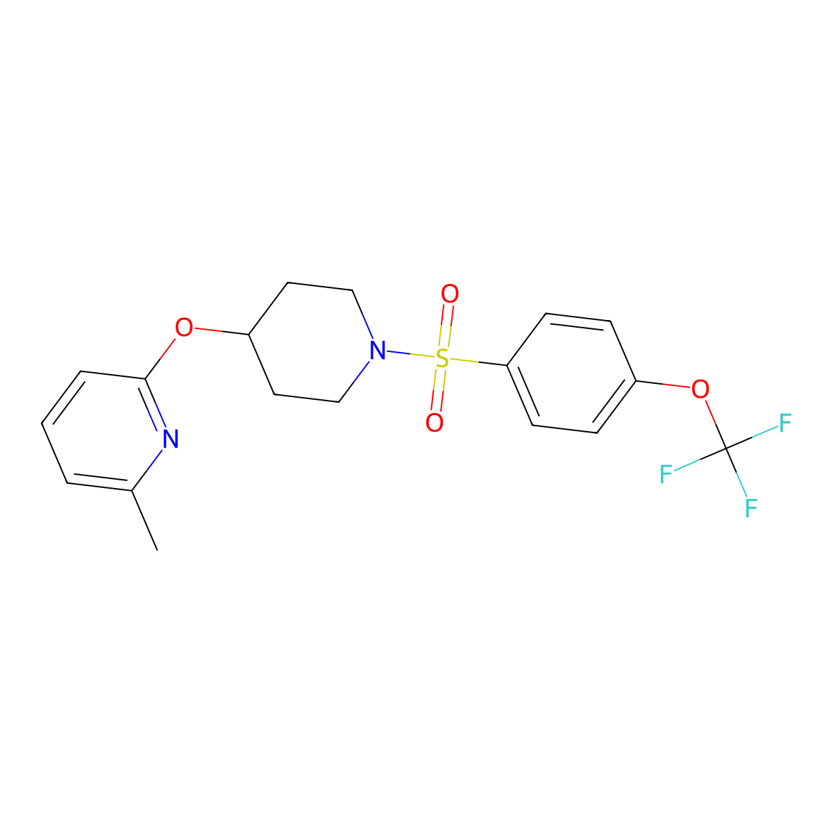 2-Methyl-6-((1-((4-(trifluoromethoxy)phenyl)sulfonyl)piperidin-4-yl)oxy)pyridine molecular structure, CAS 1797959-03-5