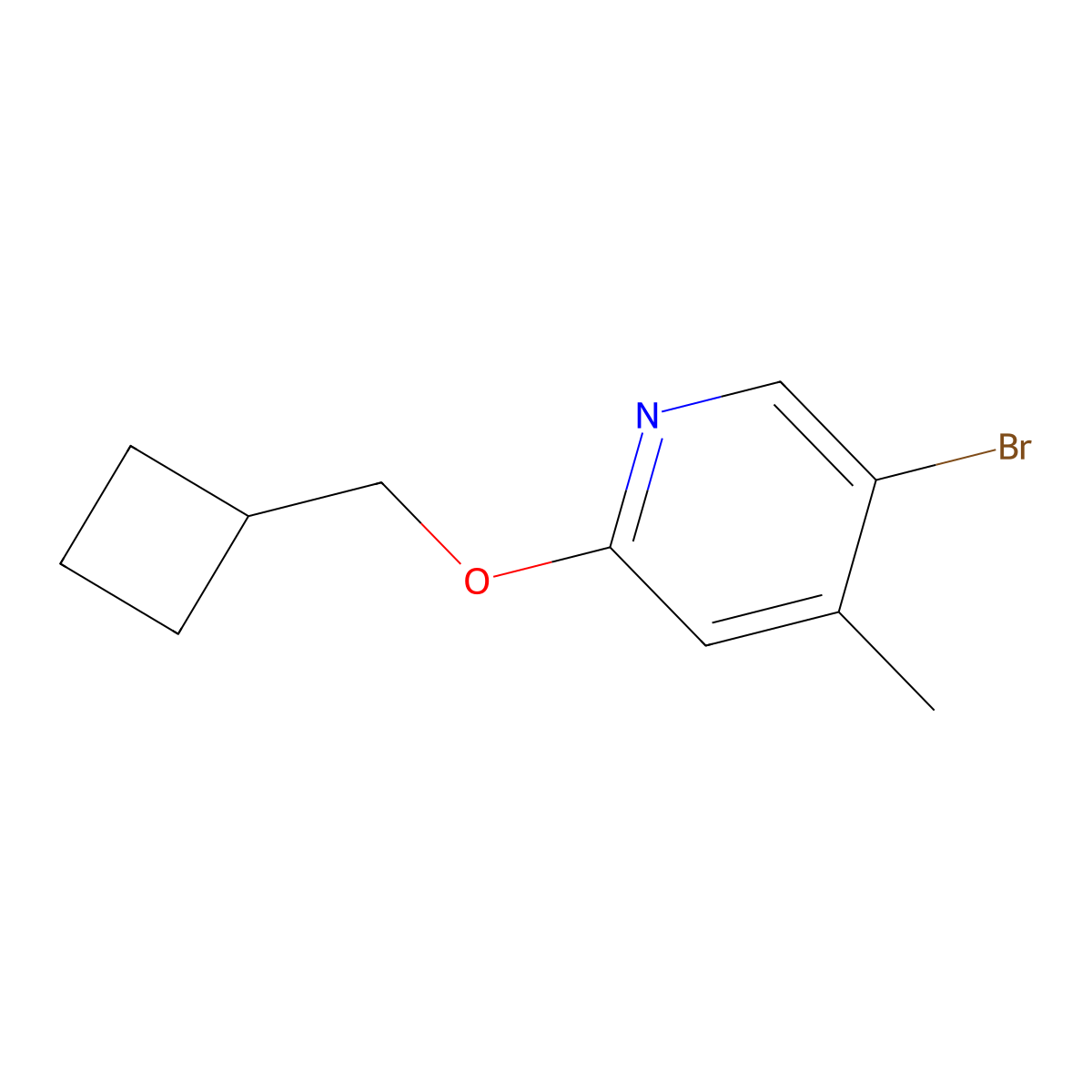 5-Bromo-2-(cyclobutylmethoxy)-4-methylpyridine molecular structure, CAS 1798295-05-2