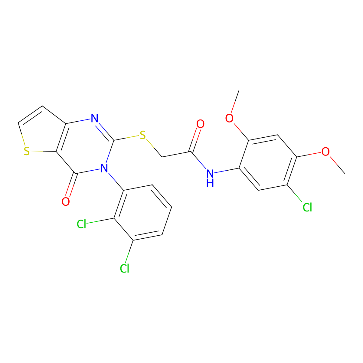 N-(5-chloro-2,4-dimethoxyphenyl)-2-((3-(2,3-dichlorophenyl)-4-oxo-3,4-dihydrothieno[3,2-d]pyrimidin-2-yl)thio)acetamide molecular structure, CAS 1798662-88-0