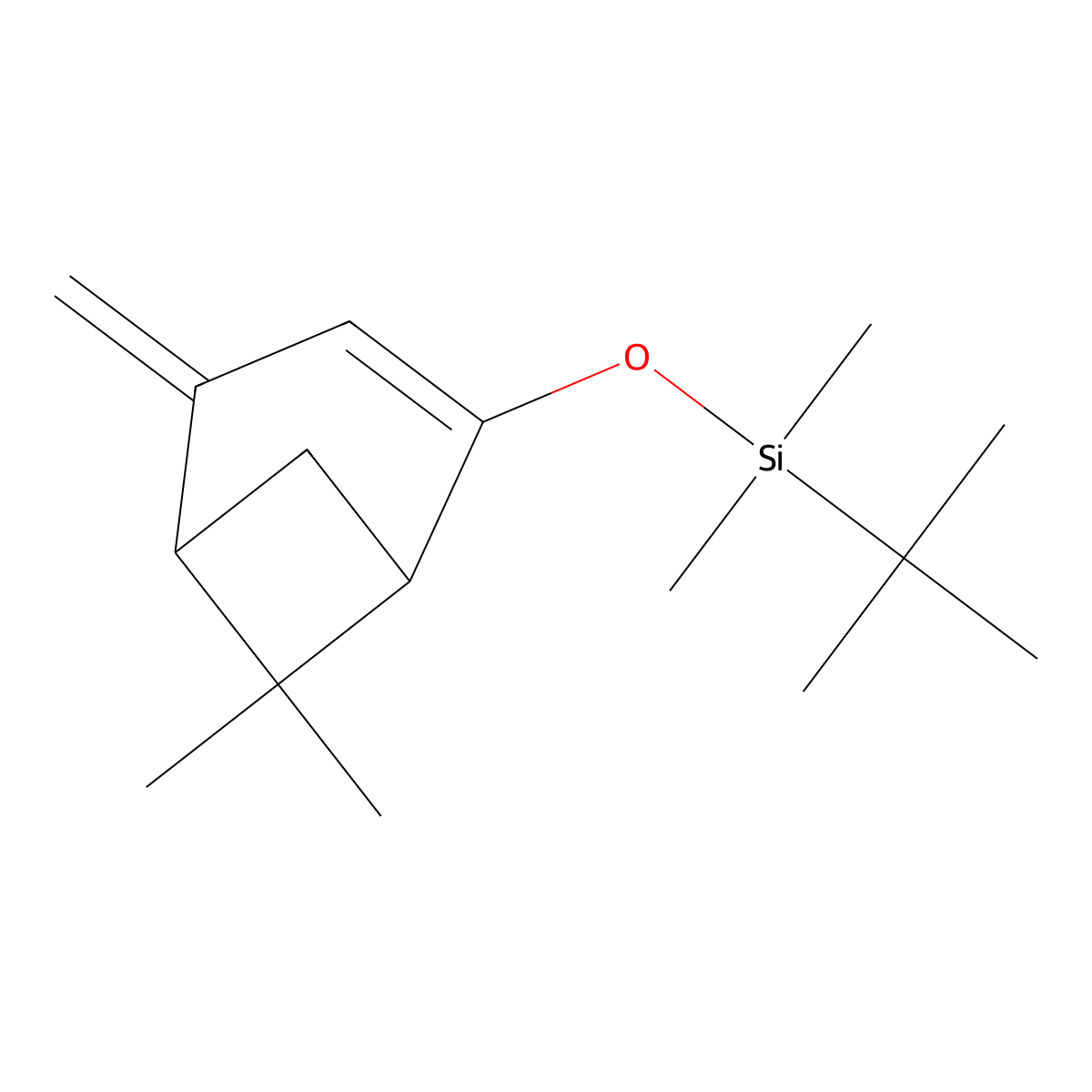rac-tert-butyl({[(1R,5S)-6,6-dimethyl-4-methylidenebicyclo[3.1.1]hept-2-en-2-yl]oxy})dimethylsilane molecular structure, CAS 1800417-46-2