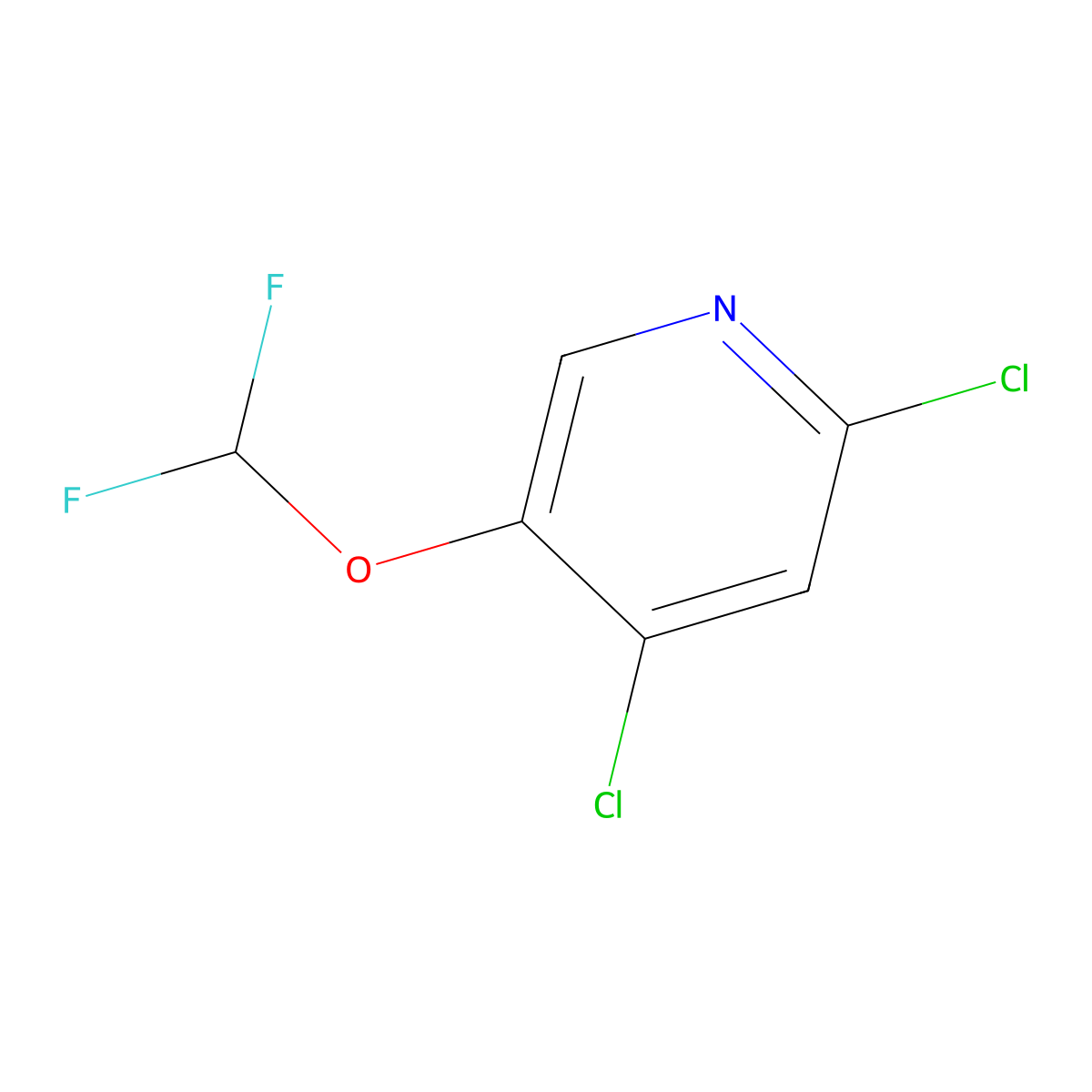 2,4-Dichloro-5-(difluoromethoxy)pyridine molecular structure, CAS 1803819-29-5