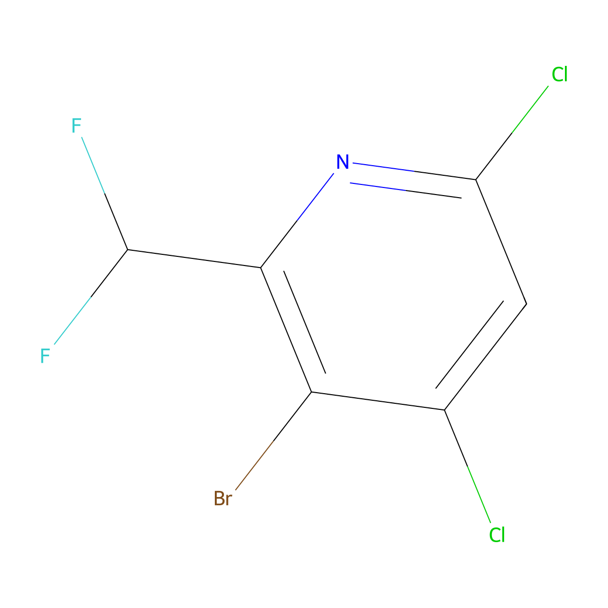 3-Bromo-4,6-dichloro-2-(difluoromethyl)pyridine molecular structure, CAS 1805996-86-4