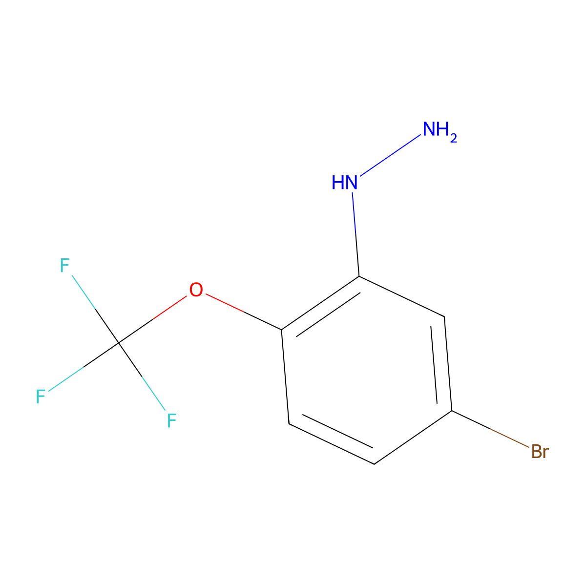 (5-Bromo-2-(trifluoromethoxy)phenyl)hydrazine molecular structure, CAS 1806513-91-6