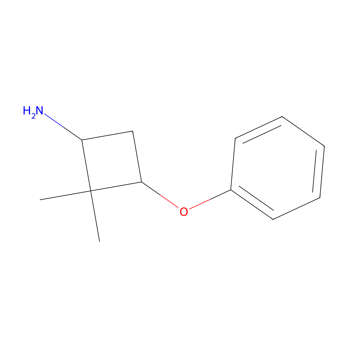 rac-(1R,3S)-2,2-dimethyl-3-phenoxycyclobutan-1-amine molecular structure, CAS 1808068-89-4