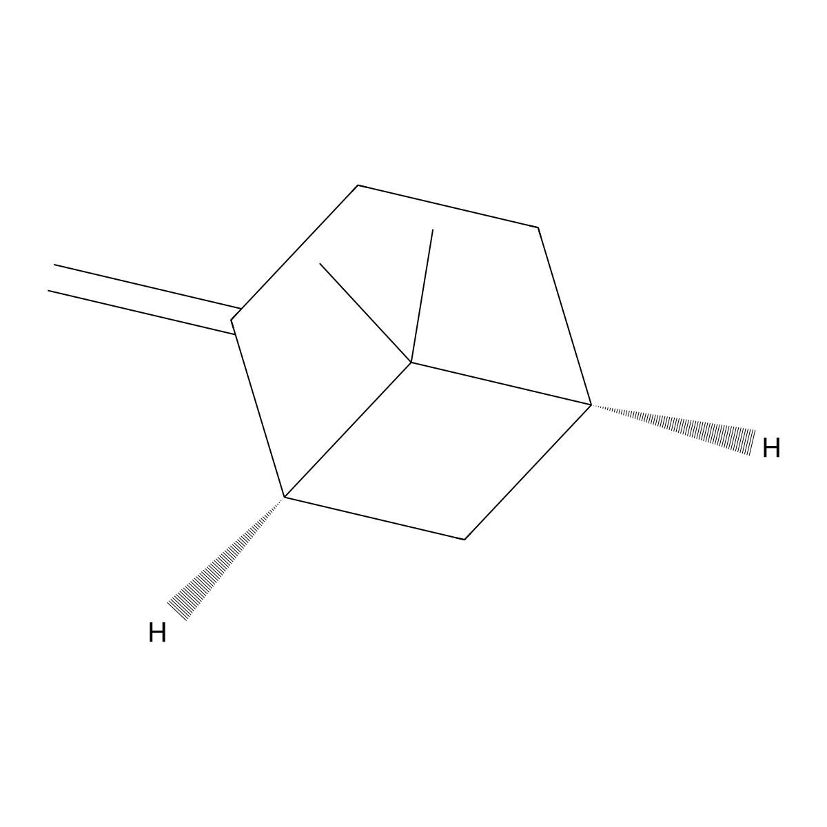 (-)-beta-Pinene molecular structure, CAS 18172-67-3