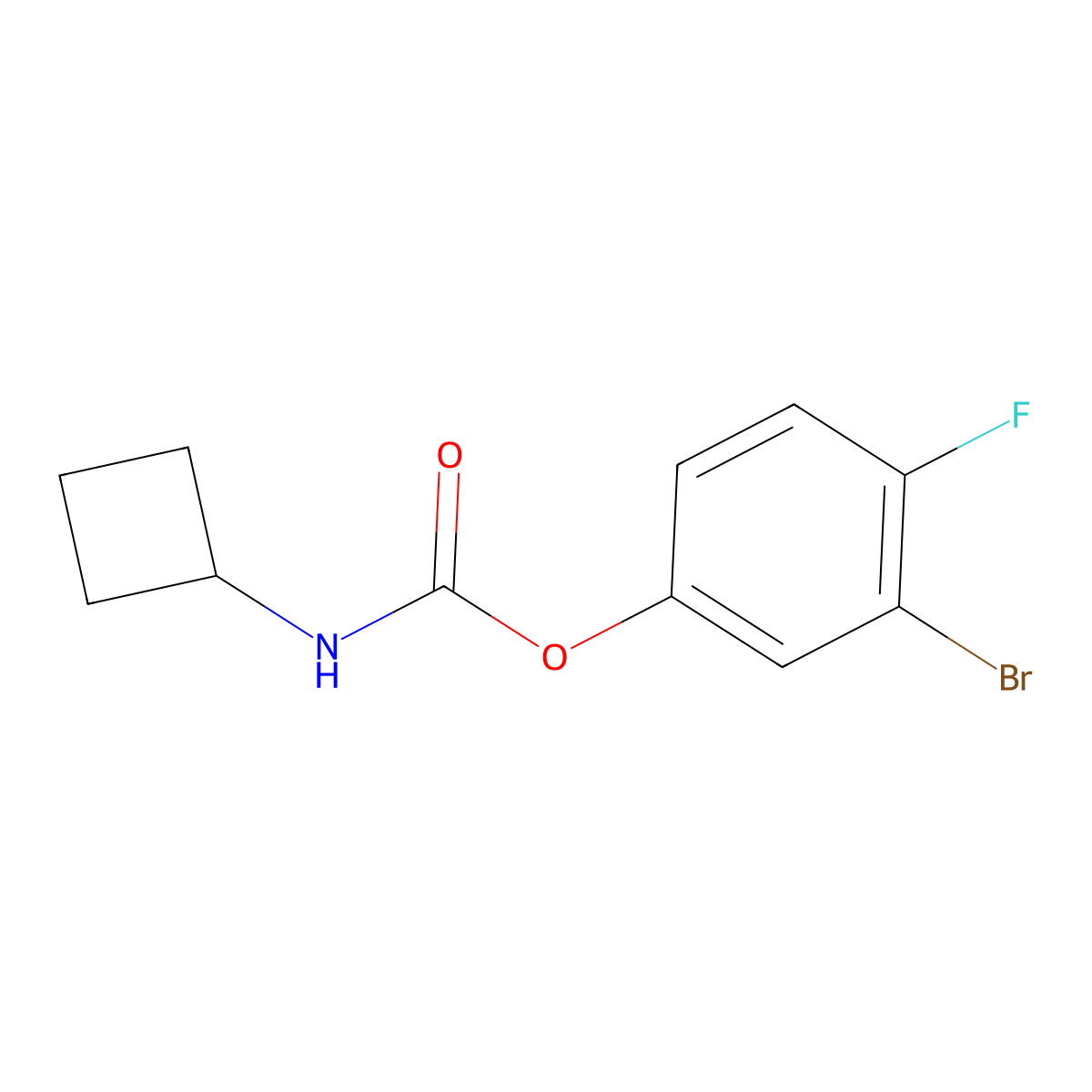 3-Bromo-4-fluorophenyl cyclobutylcarbamate molecular structure, CAS 1817808-85-7