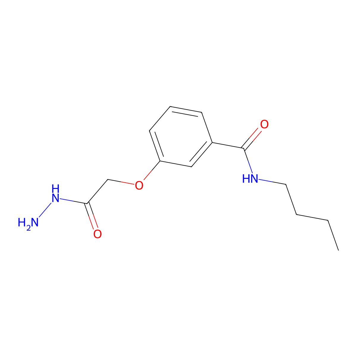 N-Butyl-3-(2-hydrazinyl-2-oxoethoxy)benzamide molecular structure, CAS 1820735-59-8