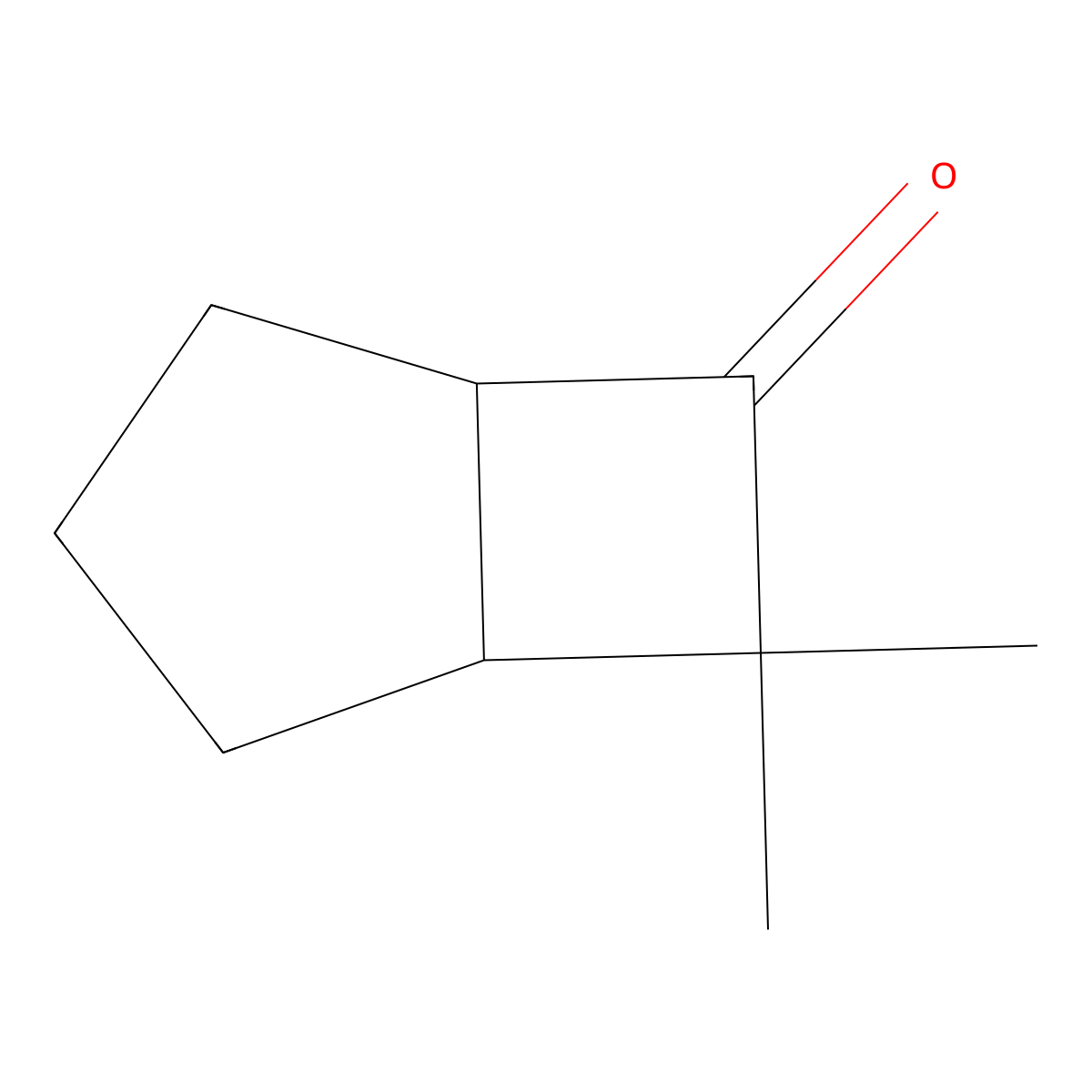 rac-(1R,5S)-7,7-dimethylbicyclo(3.2.0)heptan-6-one molecular structure, CAS 1821738-74-2