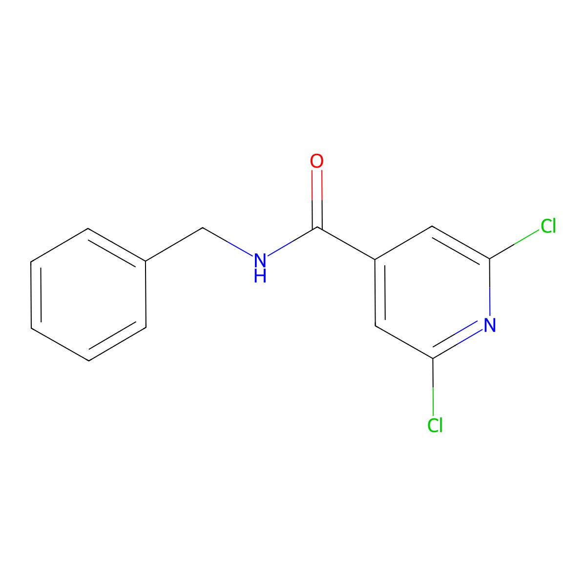 N4-Benzyl-2,6-dichloroisonicotinamide molecular structure, CAS 182224-71-1