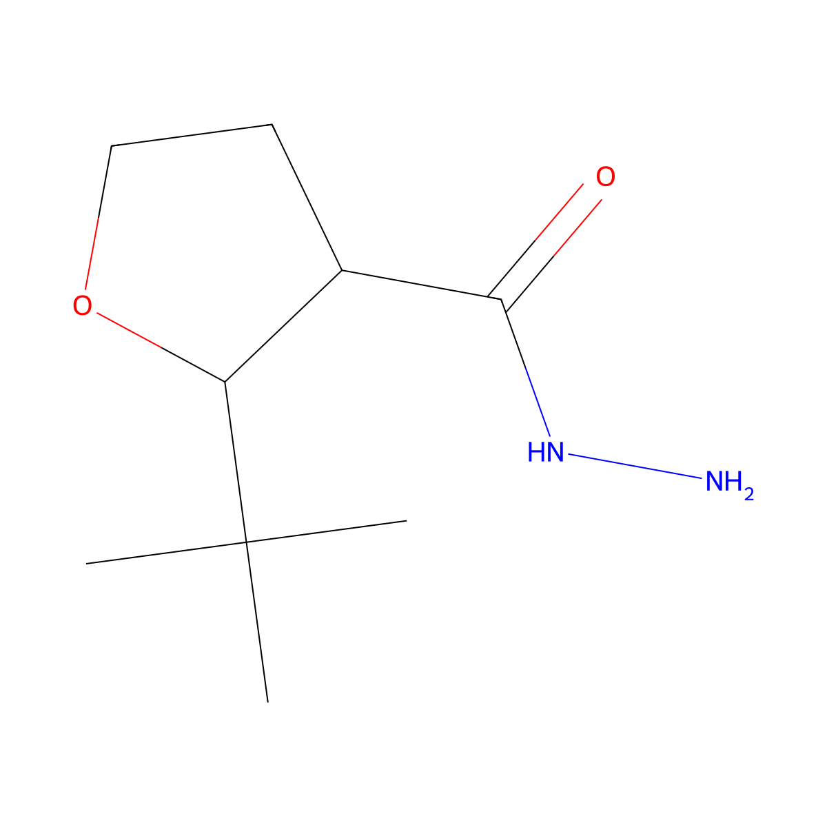 2-tert-Butyloxolane-3-carbohydrazide molecular structure, CAS 1823419-44-8