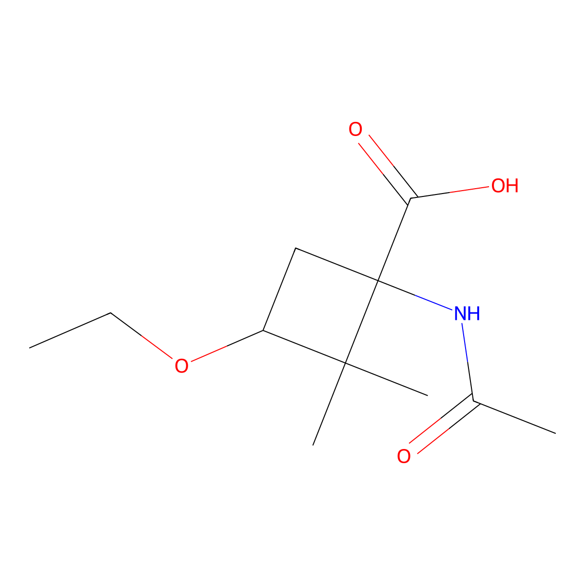 1-Acetamido-3-ethoxy-2,2-dimethylcyclobutane-1-carboxylic acid molecular structure, CAS 1831580-11-0