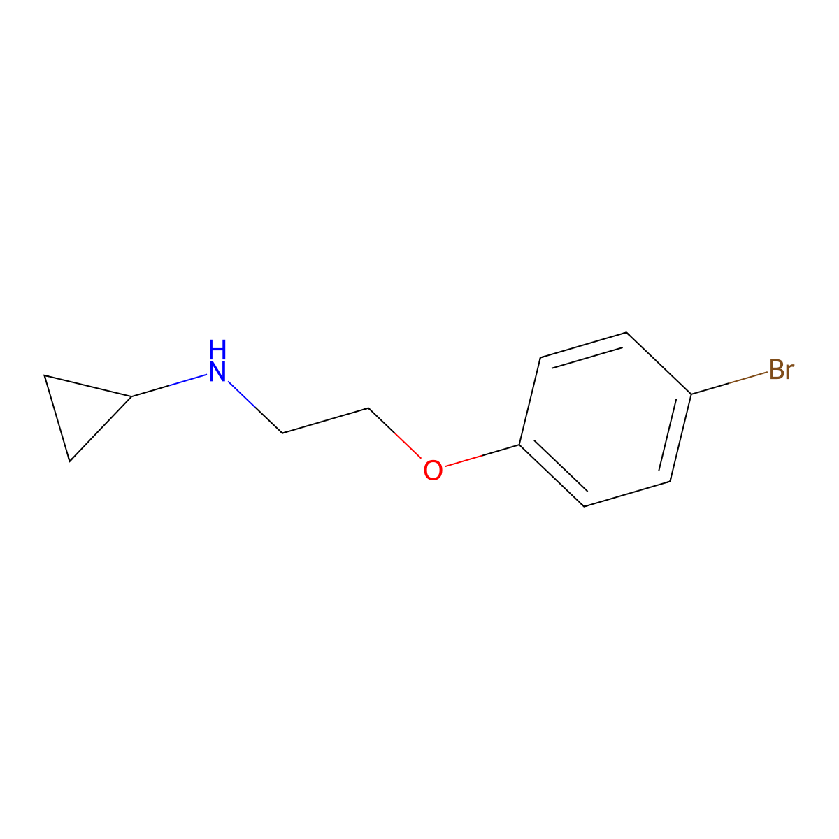 N-(2-(4-bromophenoxy)ethyl)cyclopropanamine molecular structure, CAS 18381-82-3