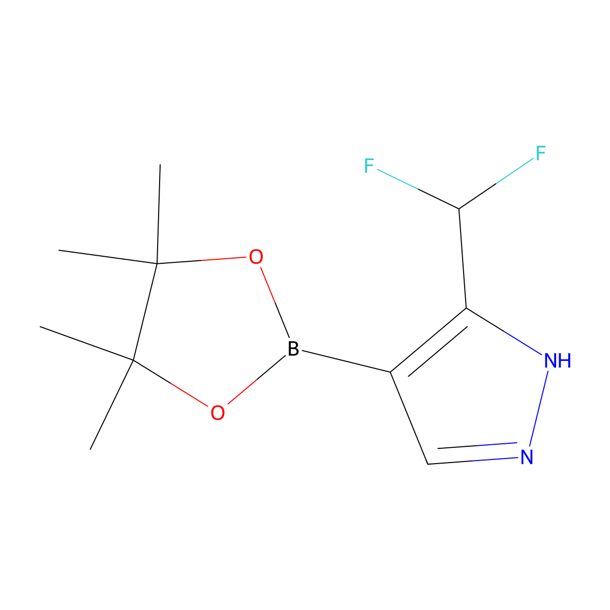 3-(difluoromethyl)-4-(tetramethyl-1,3,2-dioxaborolan-2-yl)-1H-pyrazole molecular structure, CAS 1842394-21-1