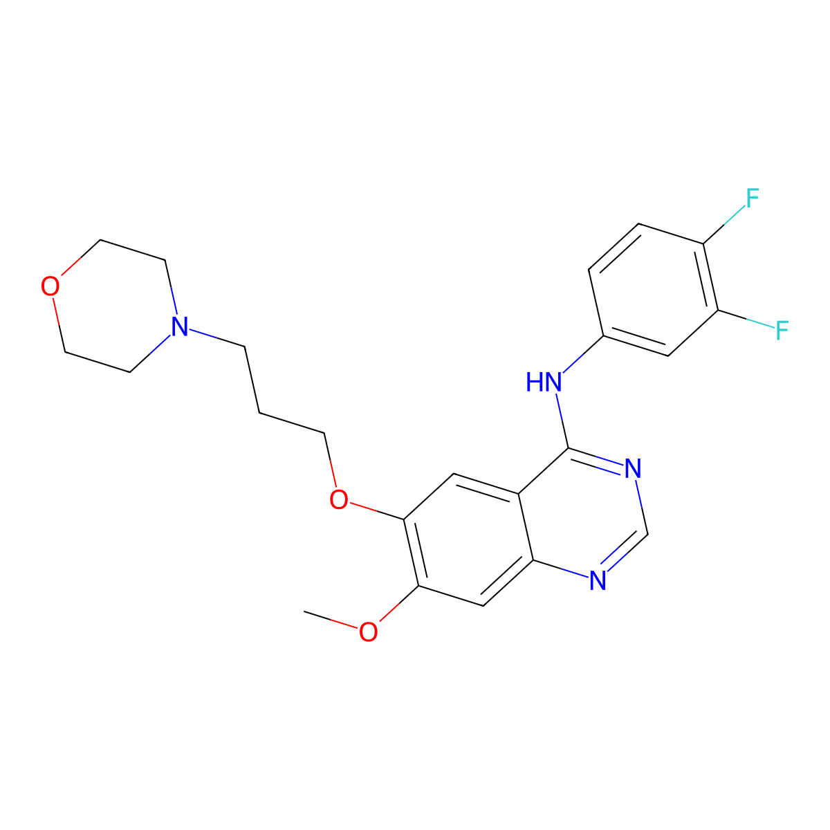 N-(3,4-Difluorophenyl)-7-methoxy-6-(3-morpholinopropoxy)quinazolin-4-amine molecular structure, CAS 184475-50-1