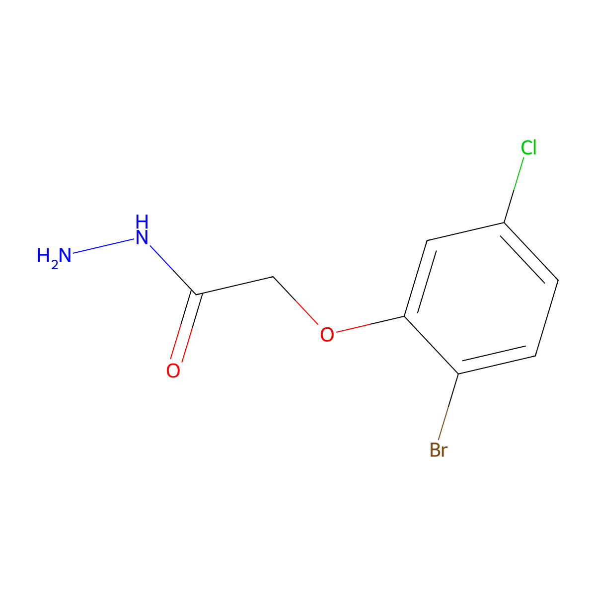 2-(2-Bromo-5-chlorophenoxy)acetohydrazide molecular structure, CAS 1845696-05-0