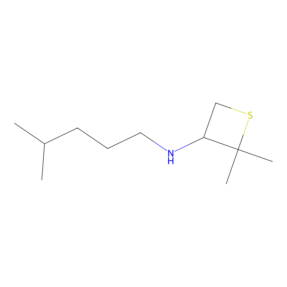 2,2-Dimethyl-N-(4-methylpentyl)thietan-3-amine molecular structure, CAS 1854373-58-2