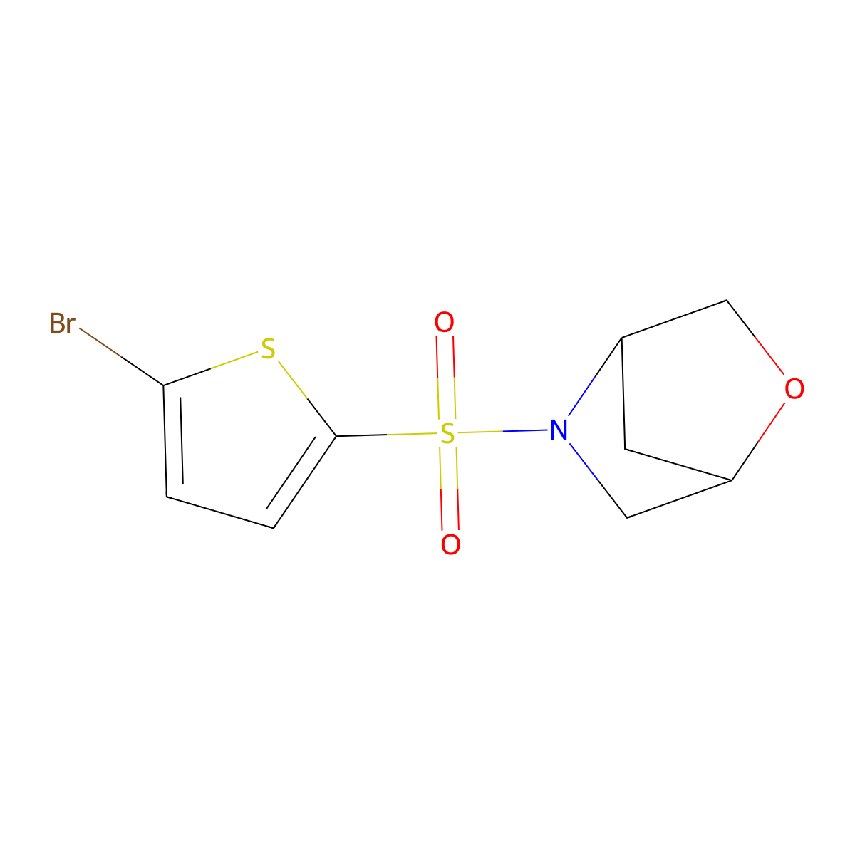 5-[(5-Bromothiophen-2-yl)sulfonyl]-2-oxa-5-azabicyclo[2.2.1]heptane molecular structure, CAS 1856343-43-5