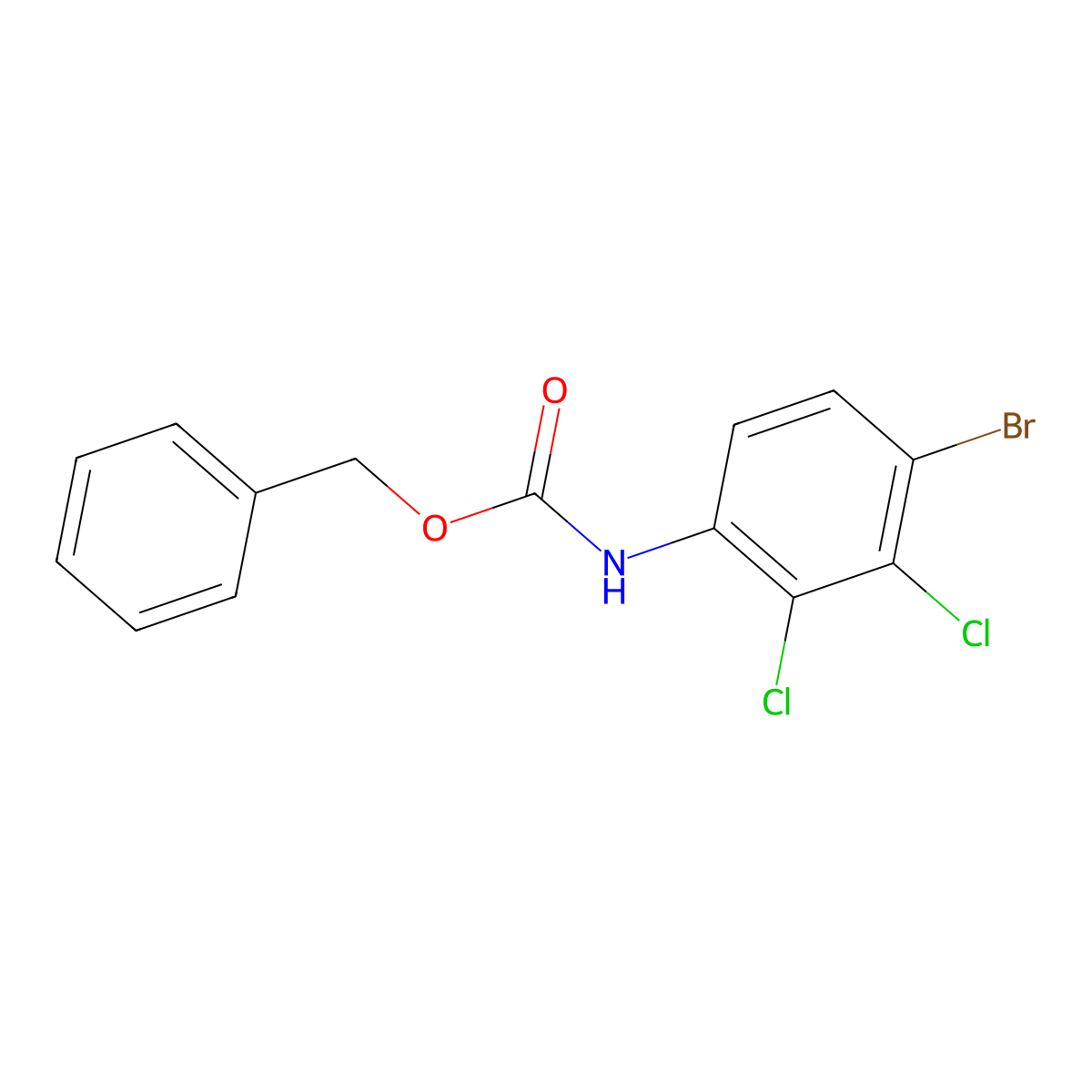 benzyl N-(4-bromo-2,3-dichlorophenyl)carbamate molecular structure, CAS 1861936-06-2