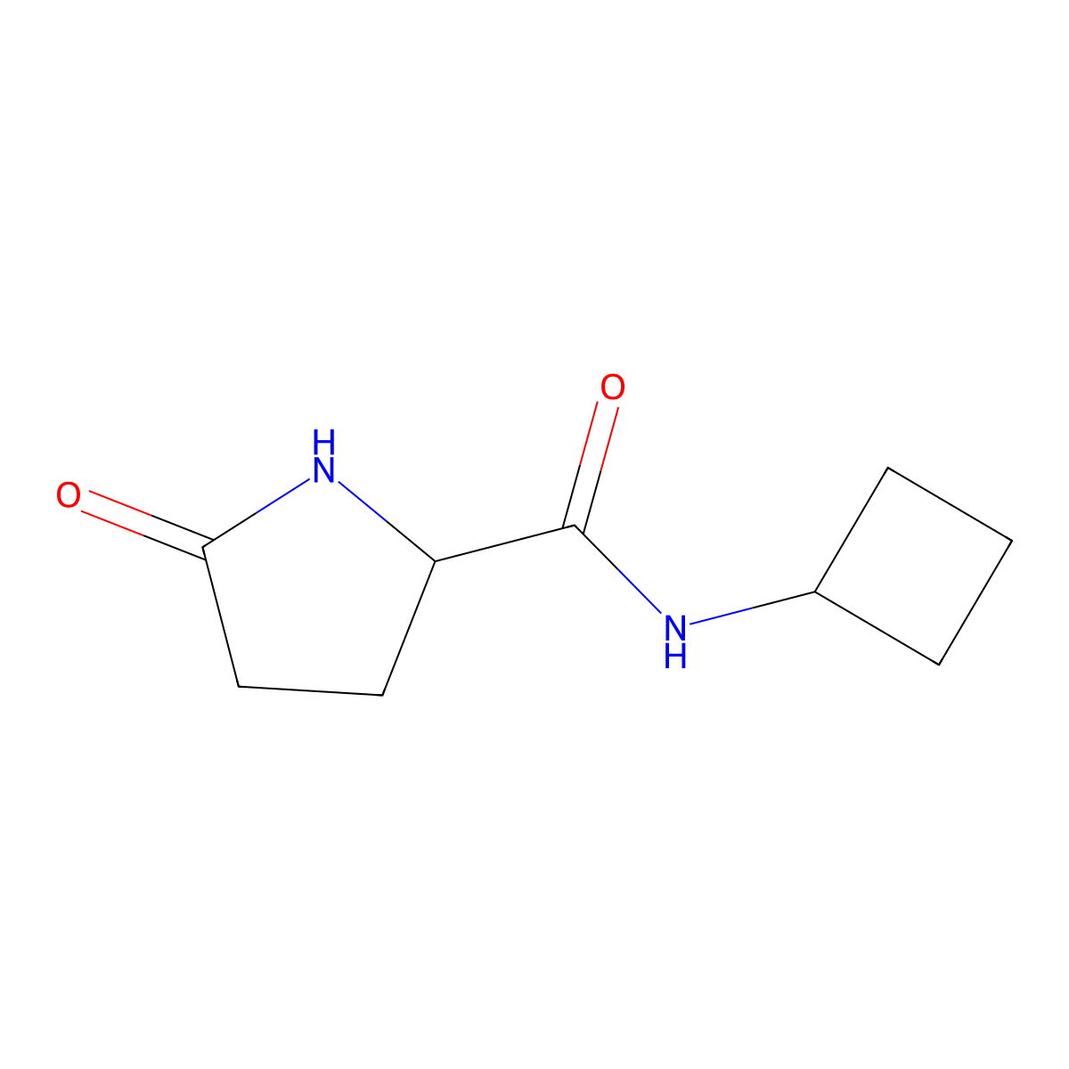 N-cyclobutyl-5-oxopyrrolidine-2-carboxamide molecular structure, CAS 1862313-85-6