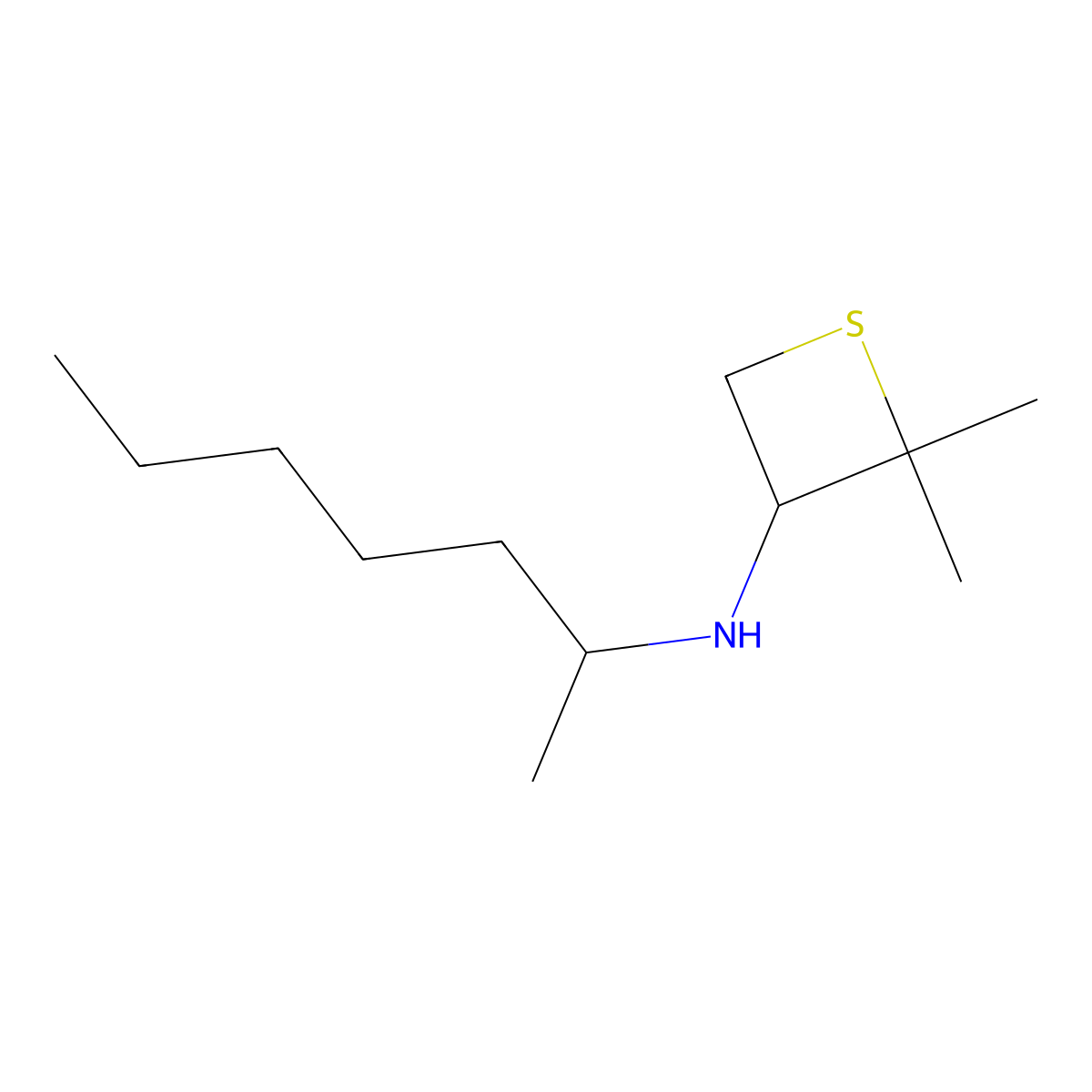 N-(Heptan-2-yl)-2,2-dimethylthietan-3-amine molecular structure, CAS 1862840-28-5