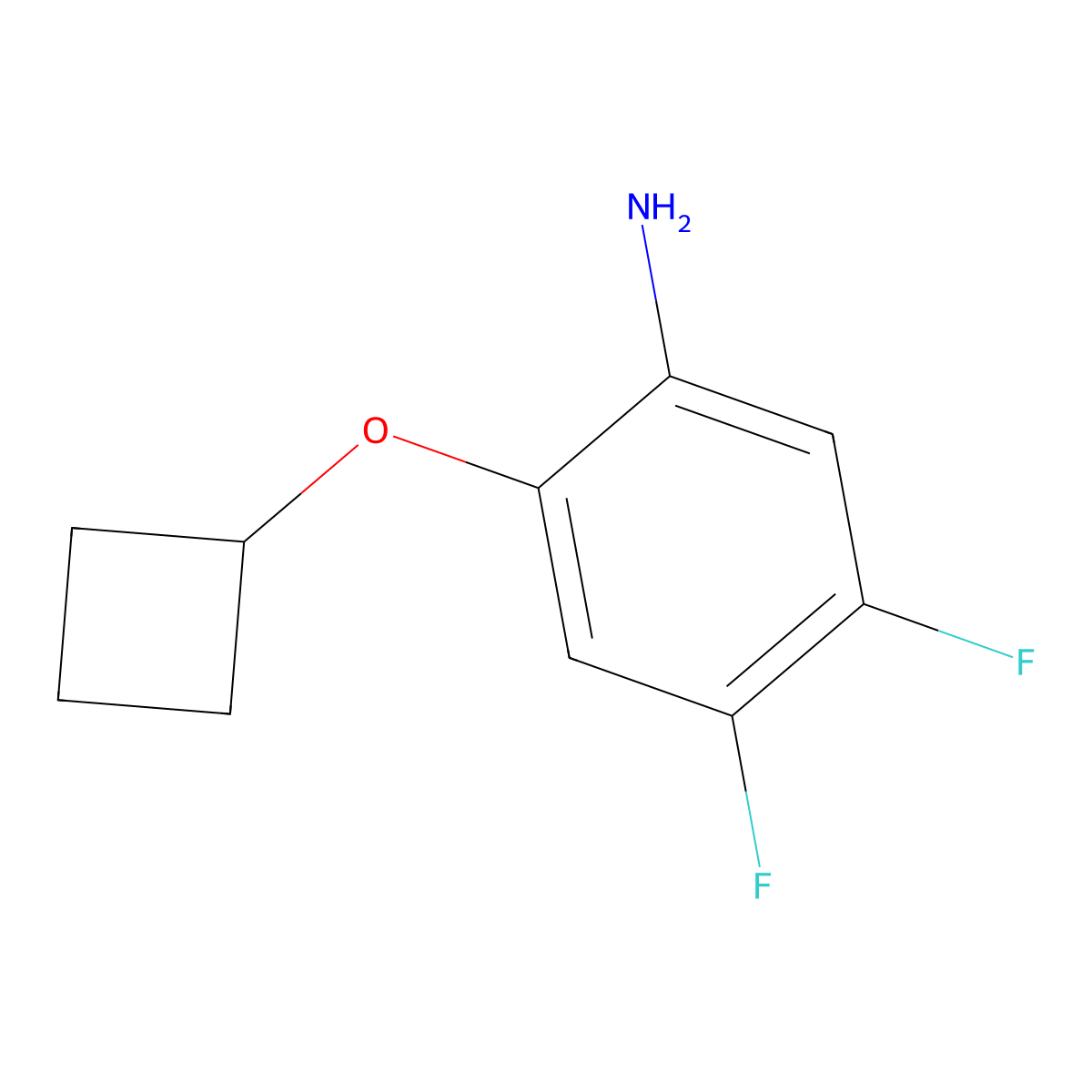 2-Cyclobutoxy-4,5-difluoroaniline molecular structure, CAS 1863276-93-0