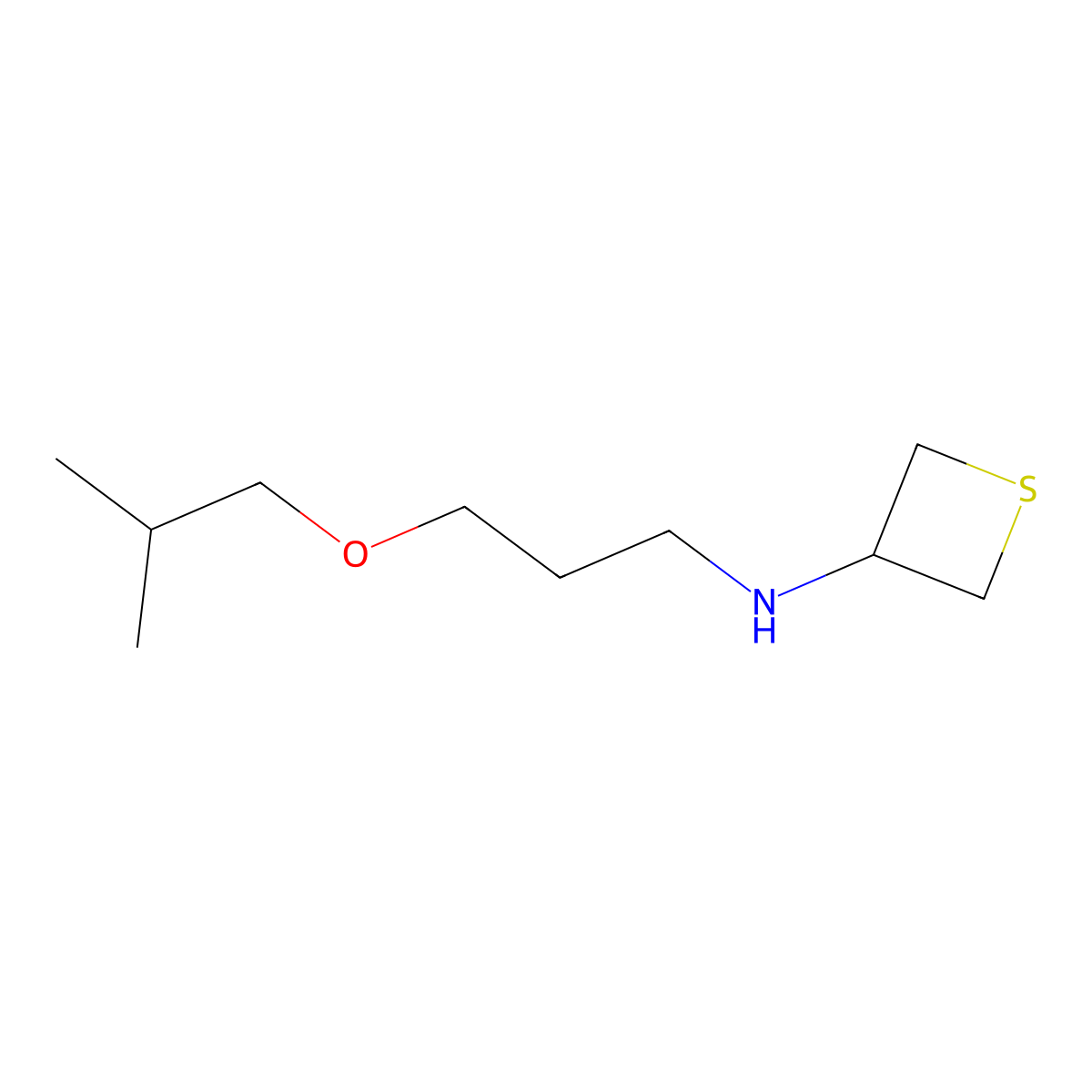 N-(3-Isobutoxypropyl)thietan-3-amine molecular structure, CAS 1863672-24-5