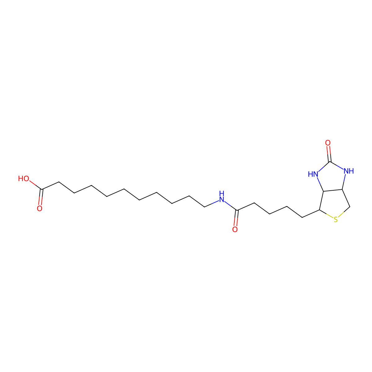 SLC-(+)-Biotin molecular structure, CAS 1864003-57-5