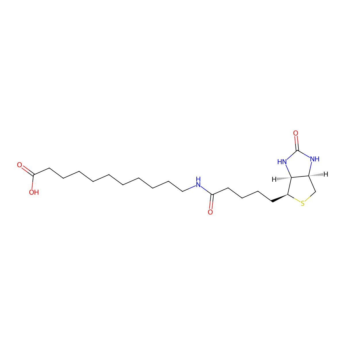SLC-(+)-Biotin molecular structure, CAS 1864003-57-5