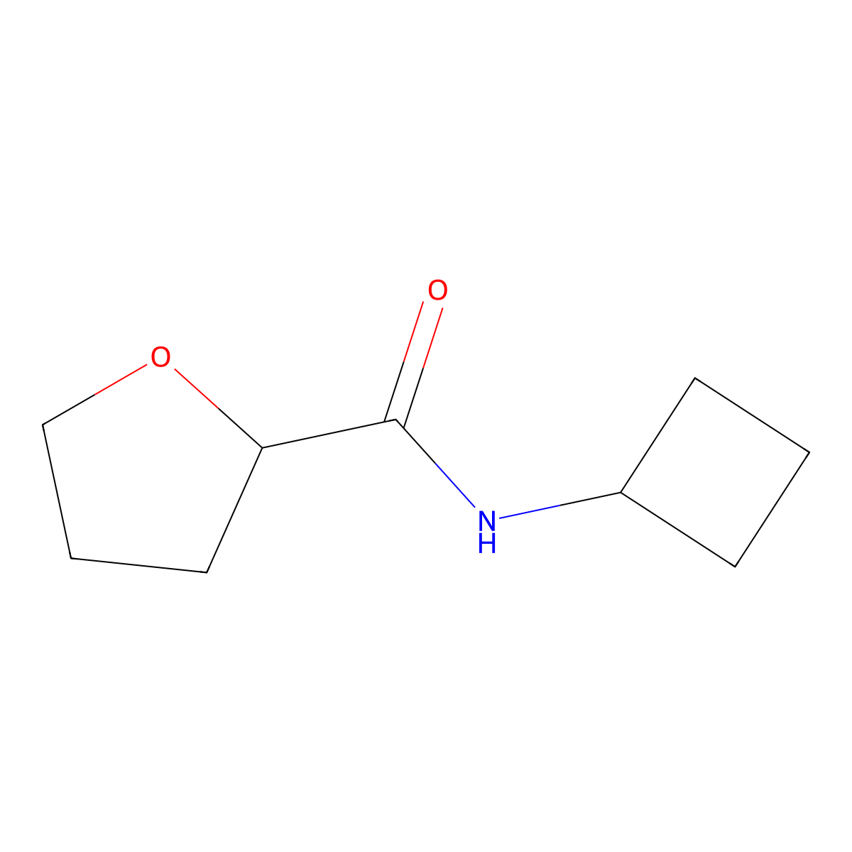 N-cyclobutyloxolane-2-carboxamide molecular structure, CAS 1864475-92-2