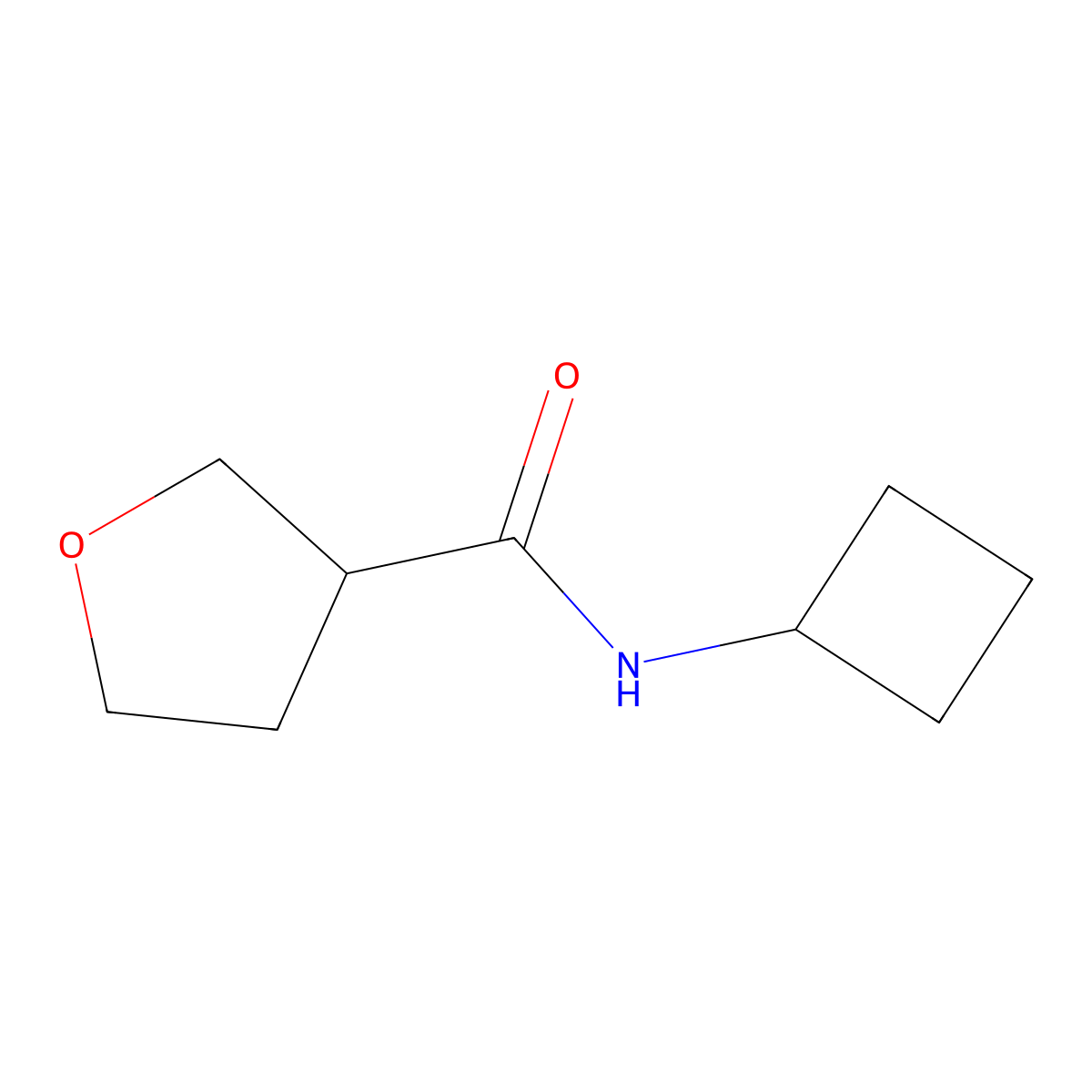 N-cyclobutyloxolane-3-carboxamide molecular structure, CAS 1864686-14-5