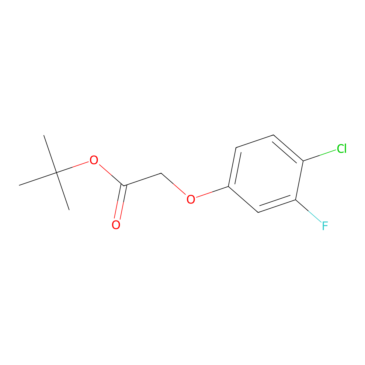 Tert-butyl 2-(4-chloro-3-fluorophenoxy)acetate molecular structure, CAS 1869097-81-3