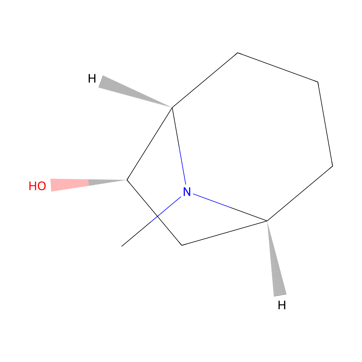 (1R,5S,6R)-Rel-8-Methyl-8-azabicyclo-[3.2.1]octan-6-ol molecular structure, CAS 18700-21-5