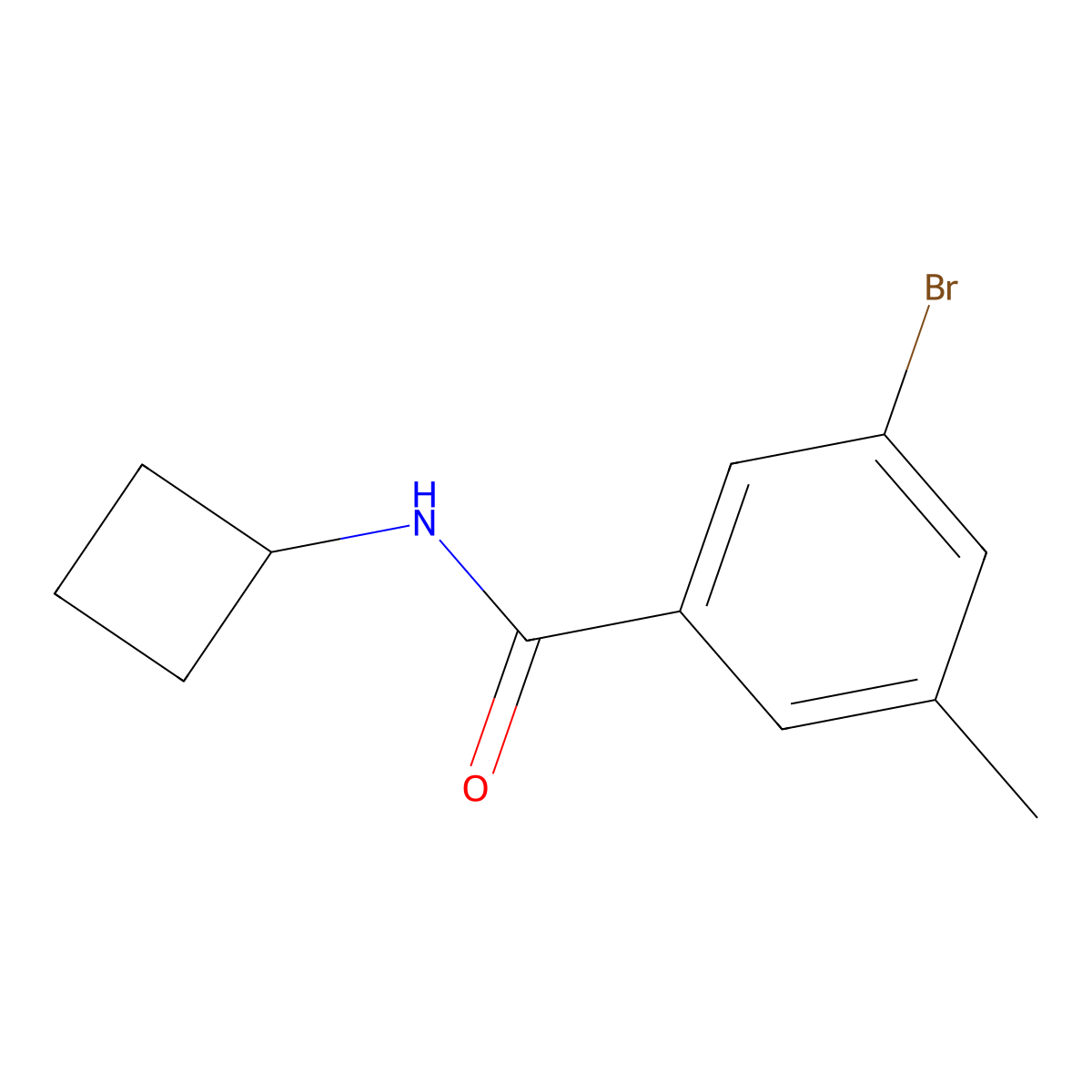 3-Bromo-N-cyclobutyl-5-methylbenzamide molecular structure, CAS 1870098-63-7