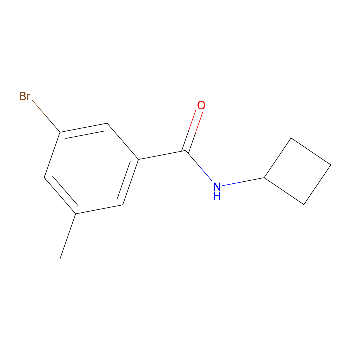 3-Bromo-N-cyclobutyl-5-methylbenzamide molecular structure, CAS 1870098-63-7