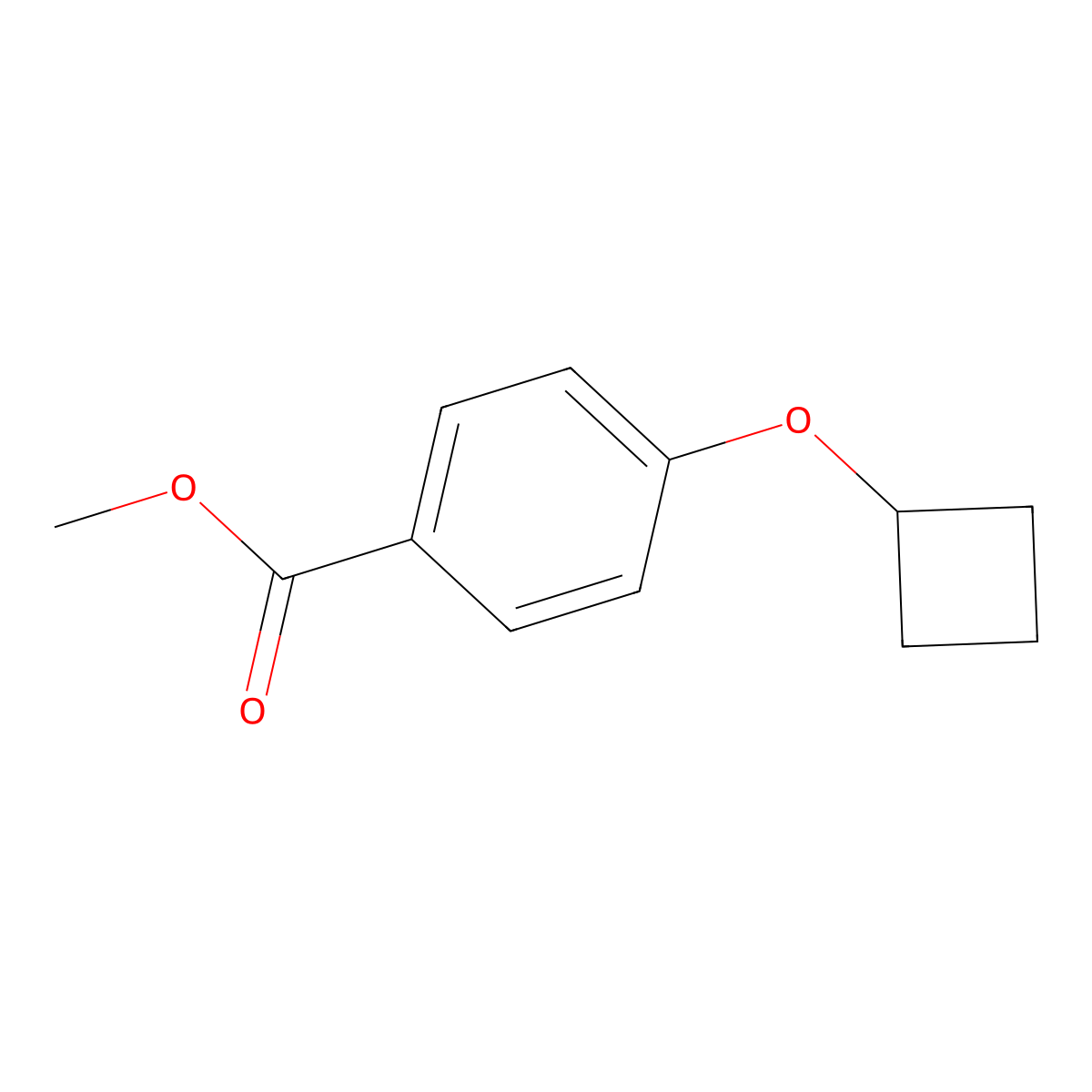 4-Cyclobutoxy-benzoic acid methyl ester molecular structure, CAS 1870333-37-1