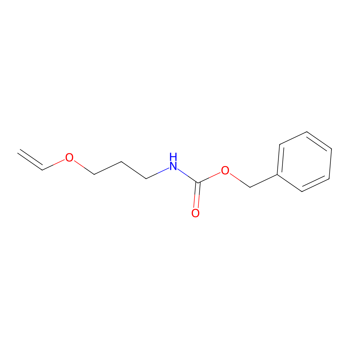 benzyl N-[3-(ethenyloxy)propyl]carbamate molecular structure, CAS 1874539-05-5