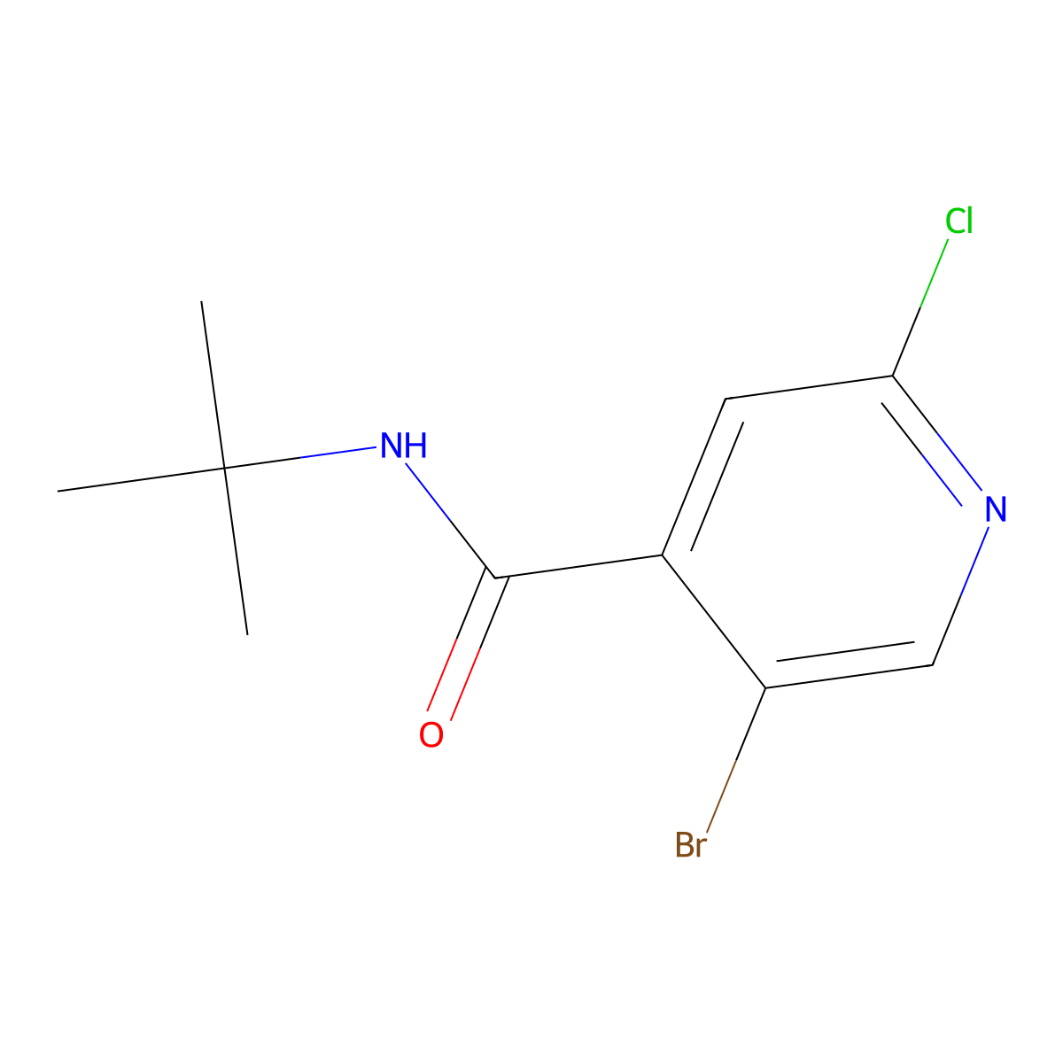 5-Bromo-N-(tert-butyl)-2-chloroisonicotinamide molecular structure, CAS 1876658-26-2