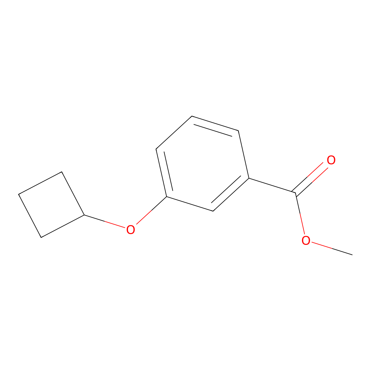 3-Cyclobutoxy-benzoic acid methyl ester molecular structure, CAS 1878262-08-8