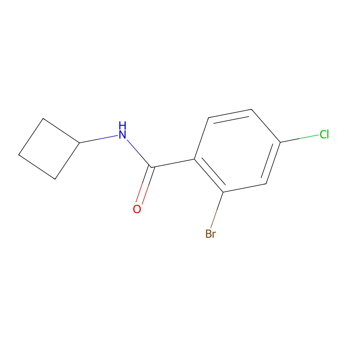 2-Bromo-4-chloro-N-cyclobutylbenzamide molecular structure, CAS 1880380-11-9