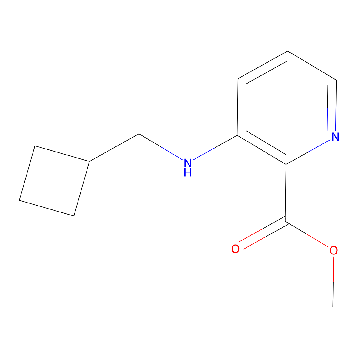 Methyl 3-[(cyclobutylmethyl)amino]pyridine-2-carboxylate molecular structure, CAS 1880633-05-5
