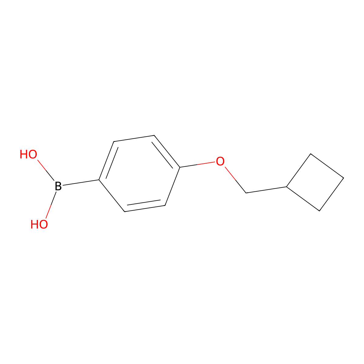4-(Cyclobutylmethoxy)phenylboronic Acid molecular structure, CAS 1887010-82-3