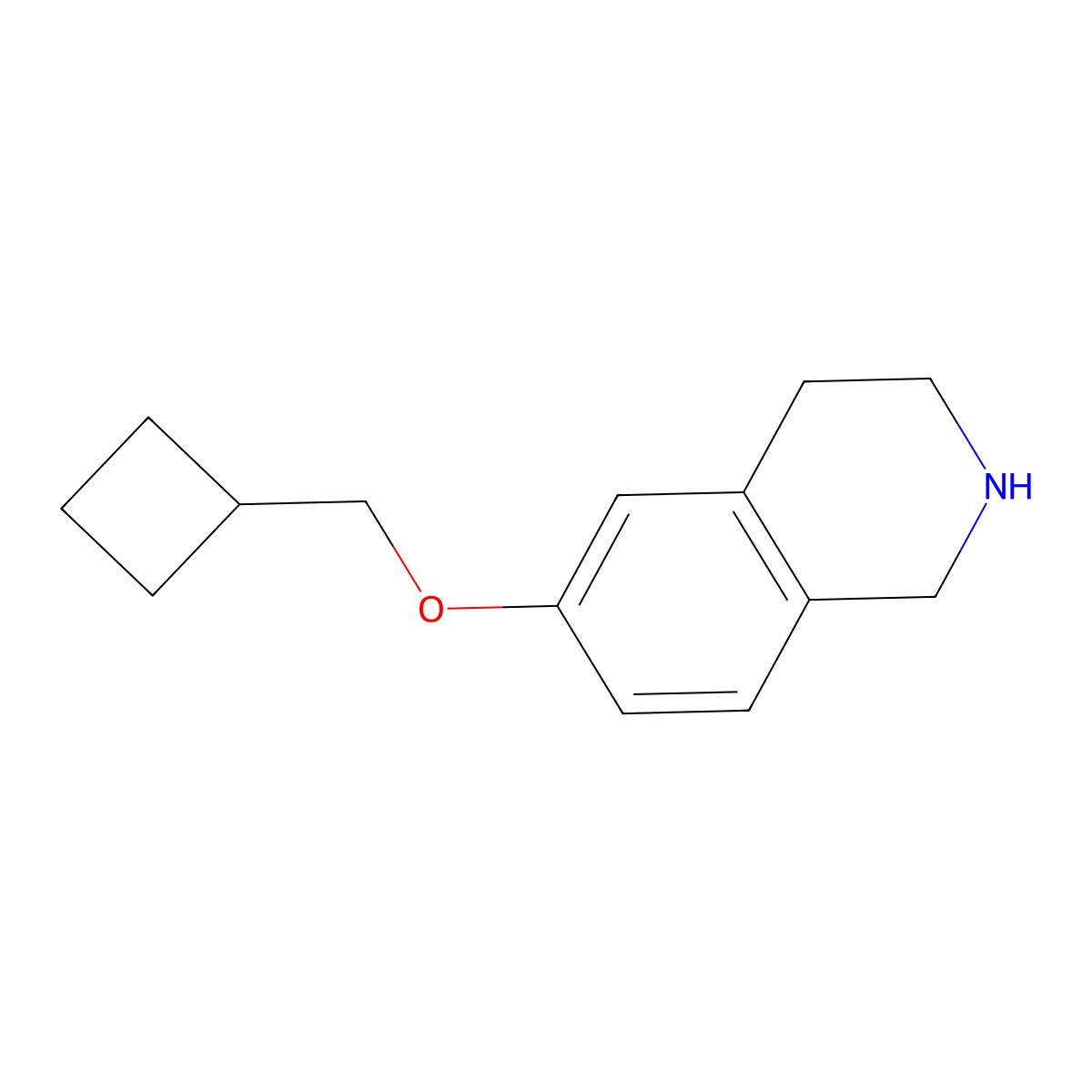 6-(Cyclobutylmethoxy)-1,2,3,4-tetrahydroisoquinoline molecular structure, CAS 1887036-62-5