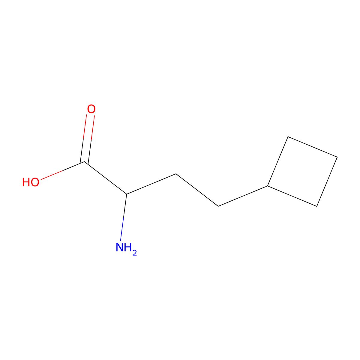 2-Amino-4-cyclobutylbutanoic acid molecular structure, CAS 1888672-53-4