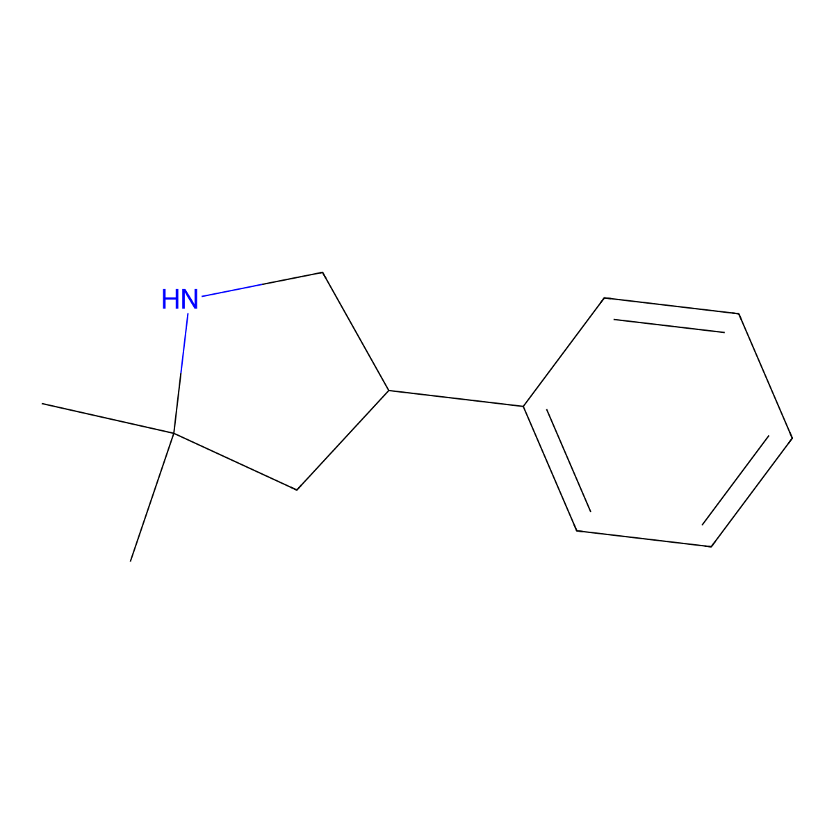 2,2-Dimethyl-4-phenylpyrrolidine molecular structure, CAS 1891097-49-6
