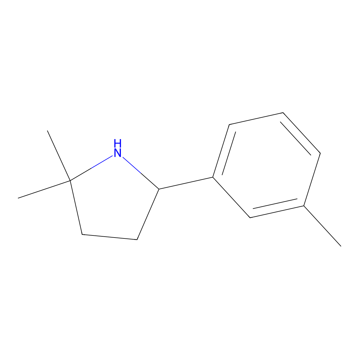 2,2-Dimethyl-5-(3-methylphenyl)pyrrolidine molecular structure, CAS 1896667-96-1