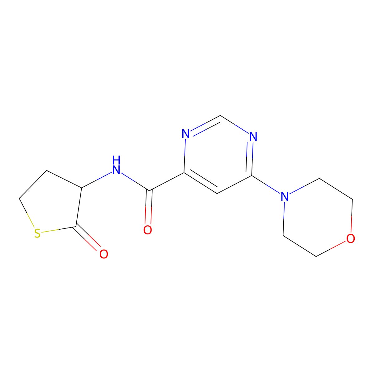 6-morpholino-N-(2-oxotetrahydrothiophen-3-yl)pyrimidine-4-carboxamide molecular structure, CAS 1903821-65-7