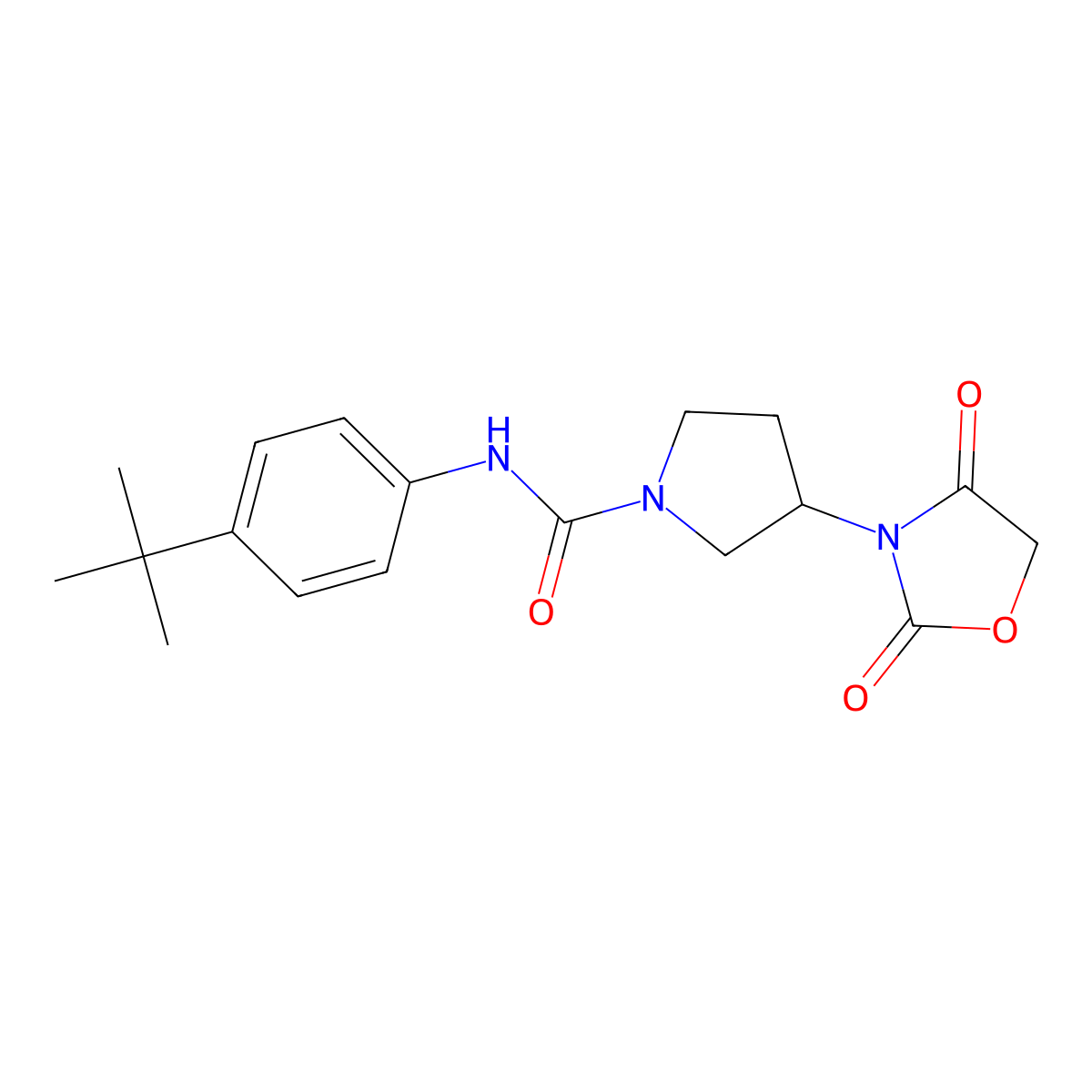 N-(4-(tert-butyl)phenyl)-3-(2,4-dioxooxazolidin-3-yl)pyrrolidine-1-carboxamide molecular structure, CAS 1903899-67-1